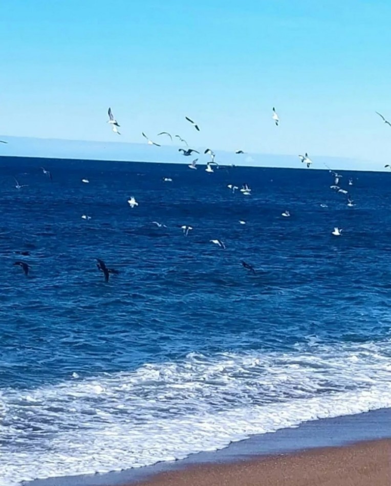 VENTA DE TERRENO EN PLAYAS DORADAS RIO NEGRO 