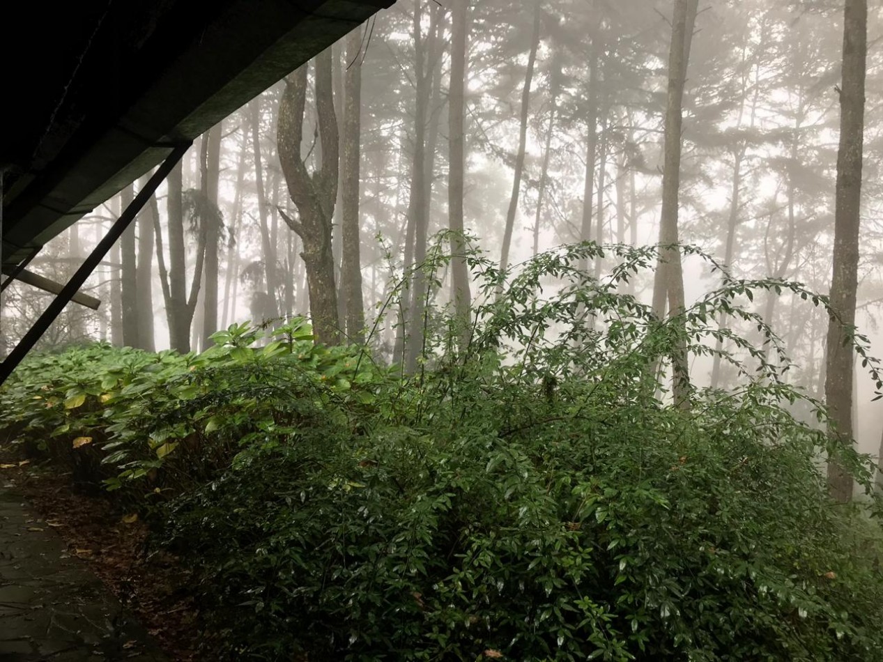 VENTA DE CASA EN LAS SIERRA DE SAN JAVIER EN TUCUMAN 
