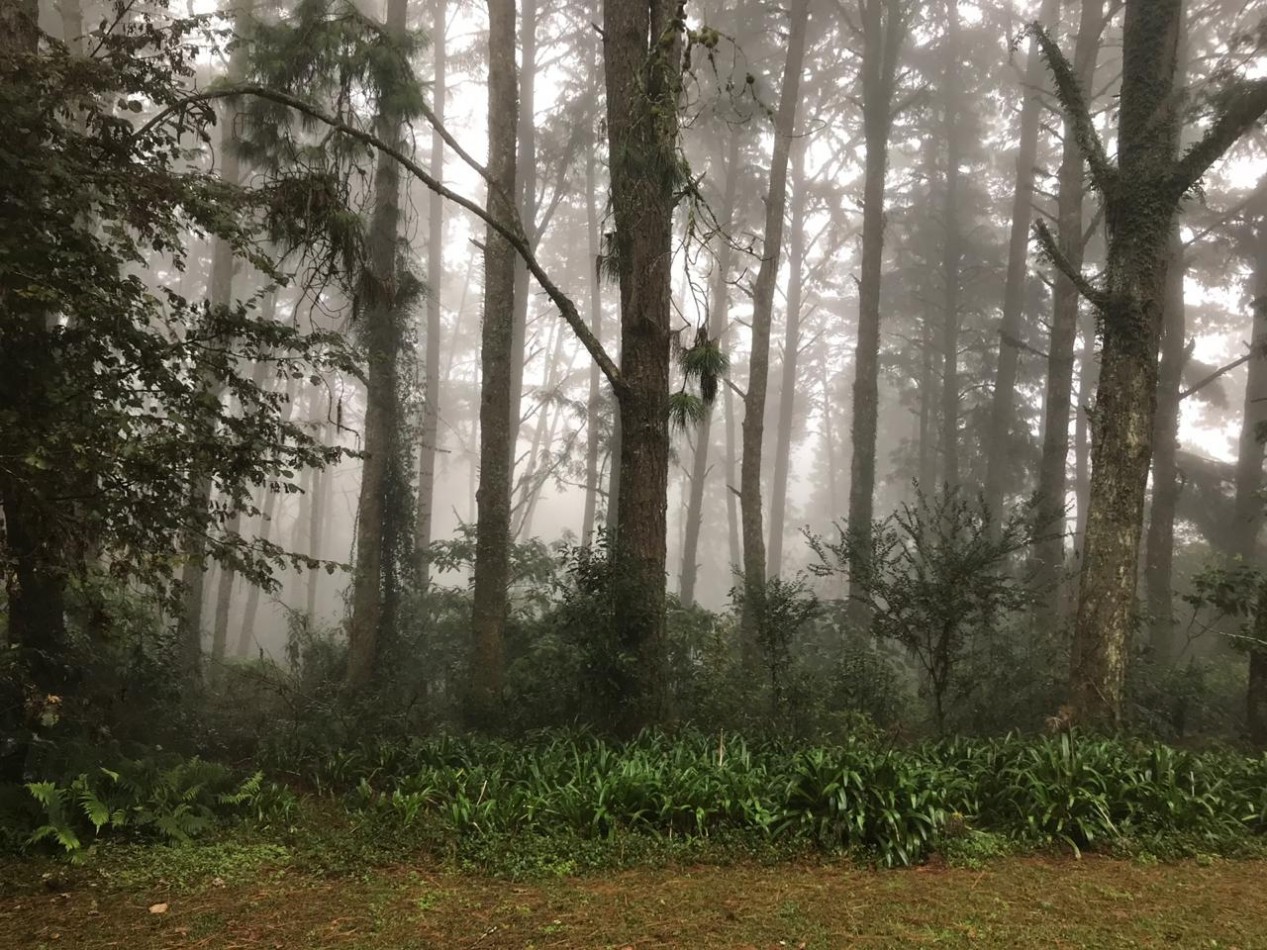 VENTA DE CASA EN LAS SIERRA DE SAN JAVIER EN TUCUMAN 
