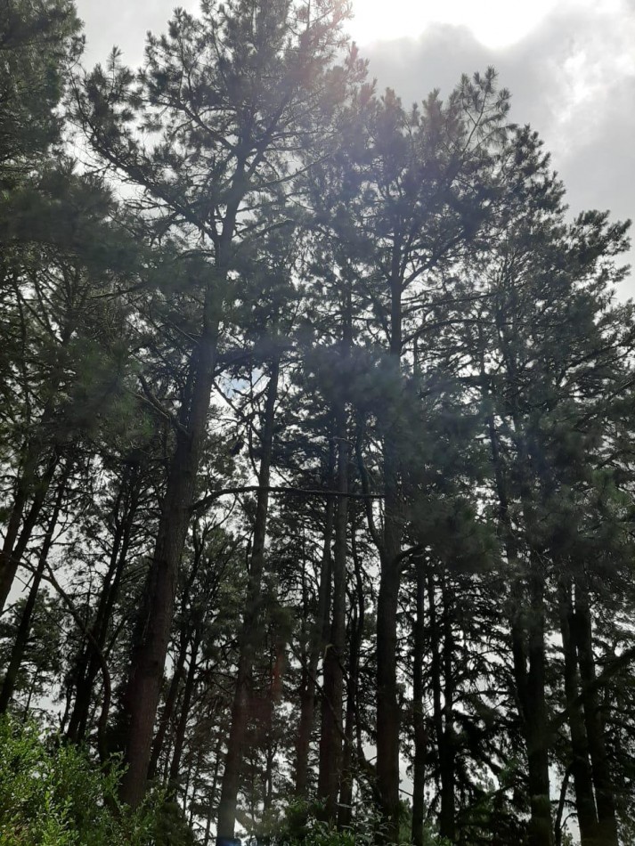 VENTA DE CASA EN LAS SIERRA DE SAN JAVIER EN TUCUMAN 