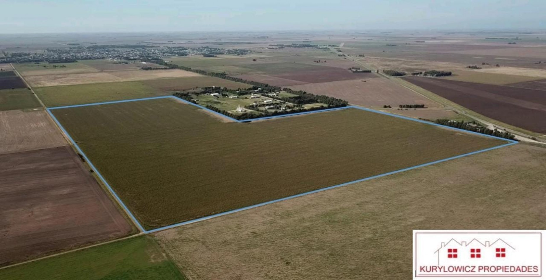 VENTA DE CAMPO EN CORONEL DORREGO, PROVINCIA DE BUENOS AIRES 