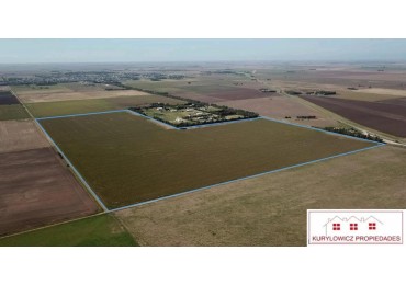 VENTA DE CAMPO EN CORONEL DORREGO, PROVINCIA DE BUENOS AIRES 